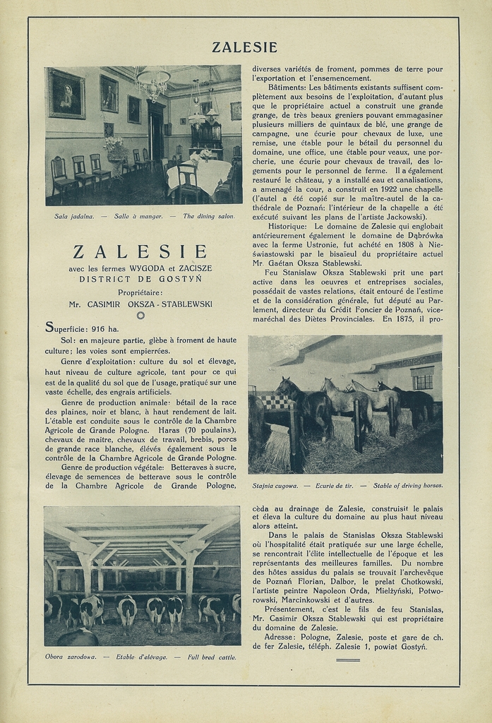 213 zalesie.jpg